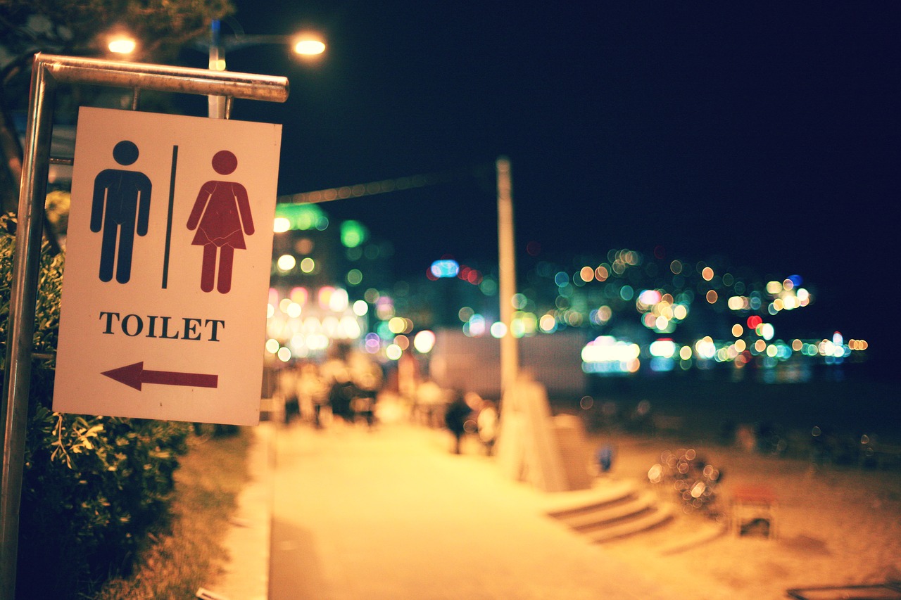 Girls Peeing In Beach Toilet